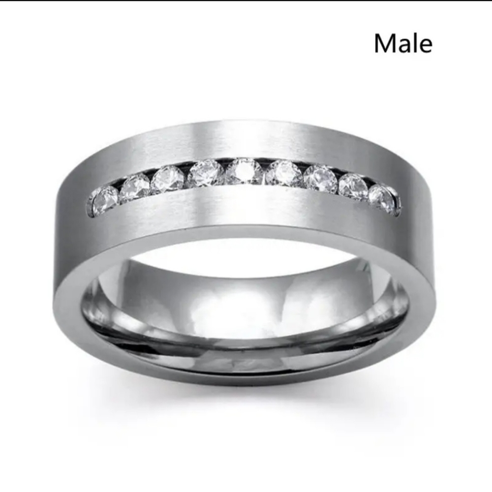 NWOT Men's Titanium Stainless Steel/CZ band